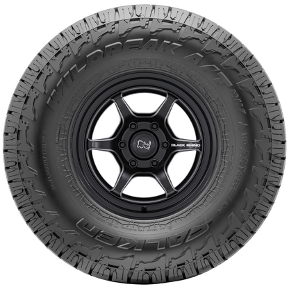 245/75R17 121/118S WPAT4W Falken PR A/T TL THA